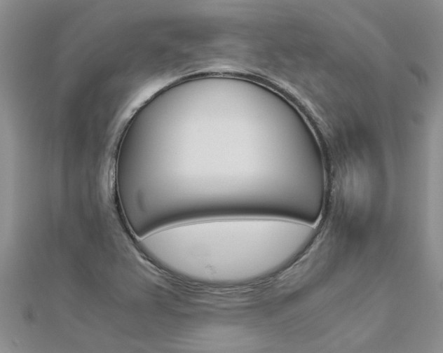 X0000112881367200908211042