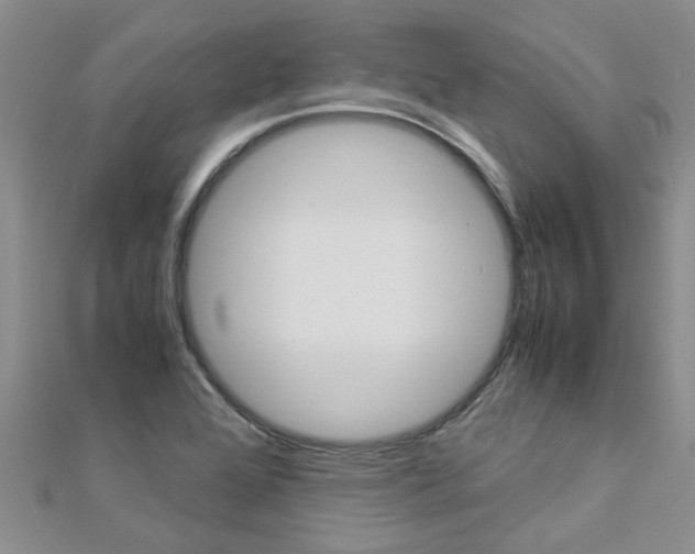 X0000112881368200908211042