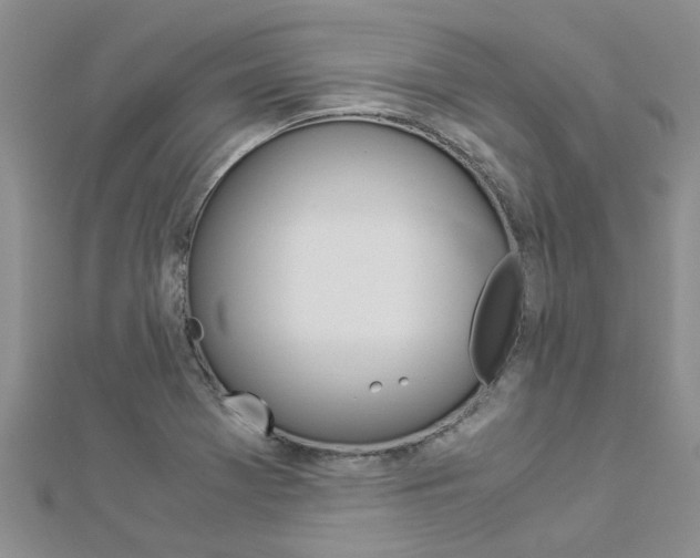 X0000112881369200908211042