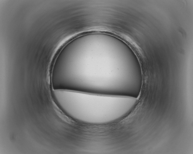 X0000112881372200908211042