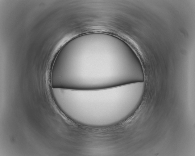 X0000112881373200908211042