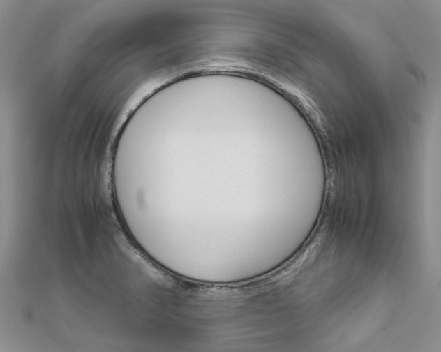 X0000112881374200908211042