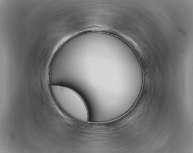 X0000112881375200908211042