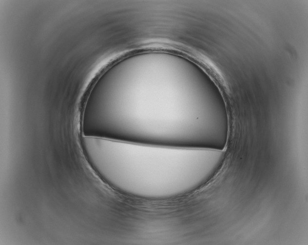 X0000112881376200908211042