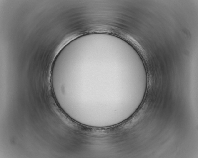 X0000112881378200908211042
