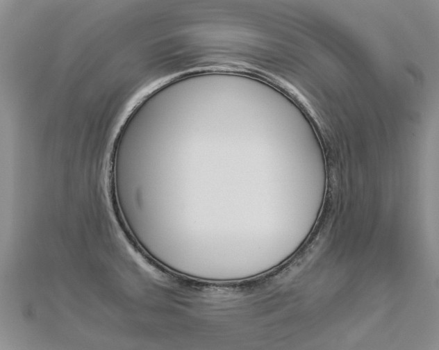 X0000112881379200908211042