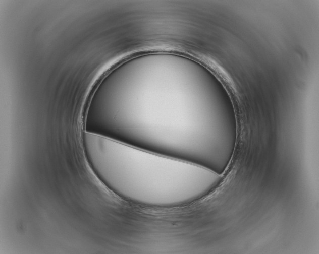 X0000112881380200908211042