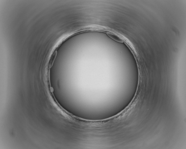 X0000112881381200908211042