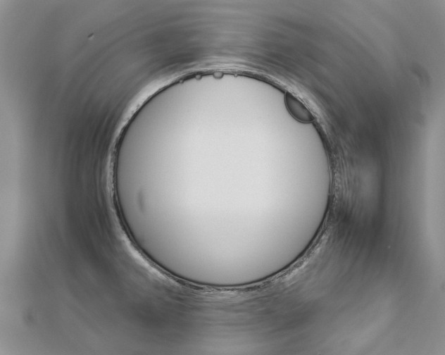 X0000112881382200908211042