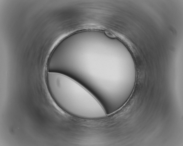 X0000112881383200908211042