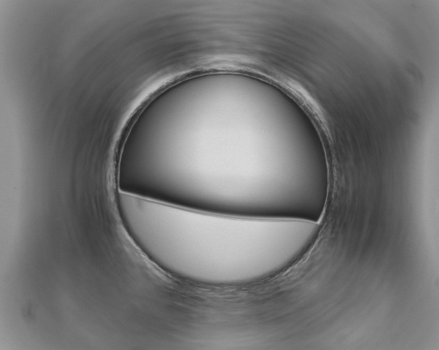 X0000112881384200908211042