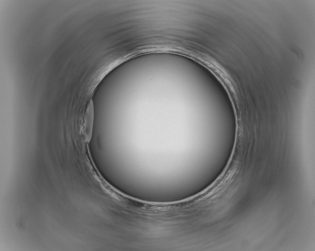 X0000112881385200908211042