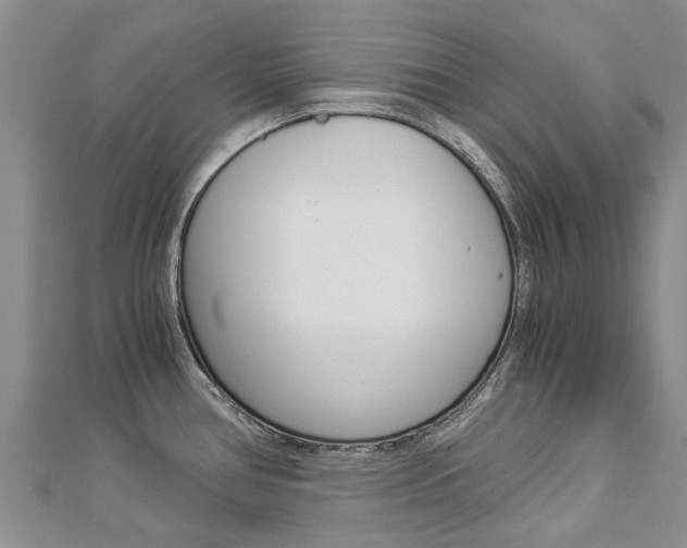X0000112881386200908211042