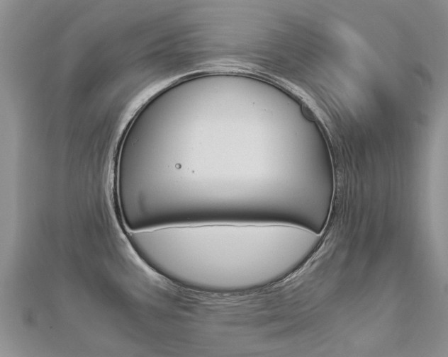 X0000112881387200908211042