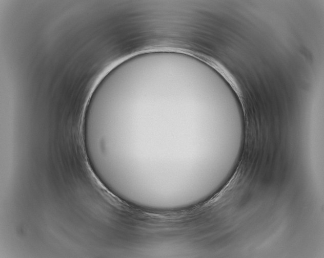 X0000112881388200908211042
