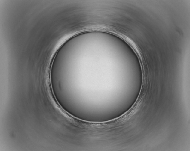 X0000112881389200908211042