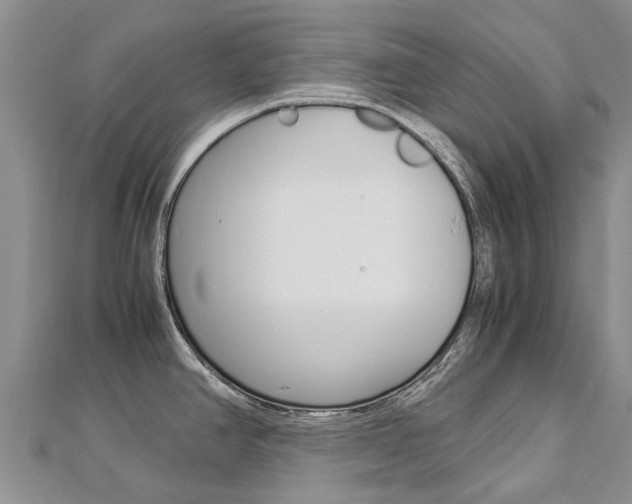 X0000112881390200908211042