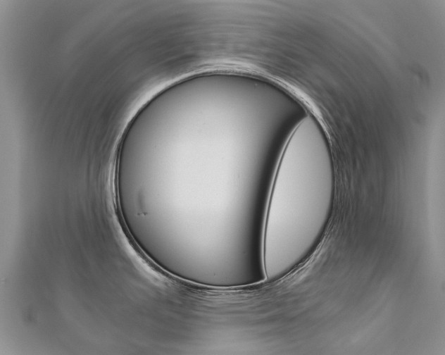 X0000112881391200908211042