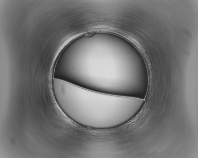 X0000112881392200908211042