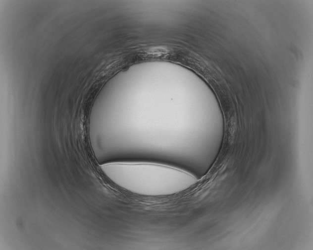 X0000112881394200908211041