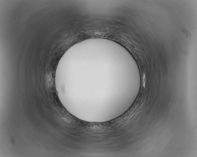 X0000112881395200908211041