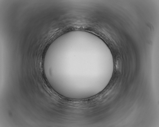 X0000112881396200908211041