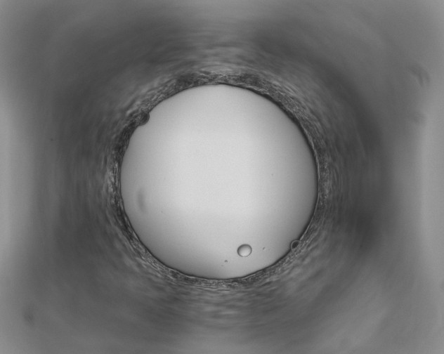 X0000112881397200908211041