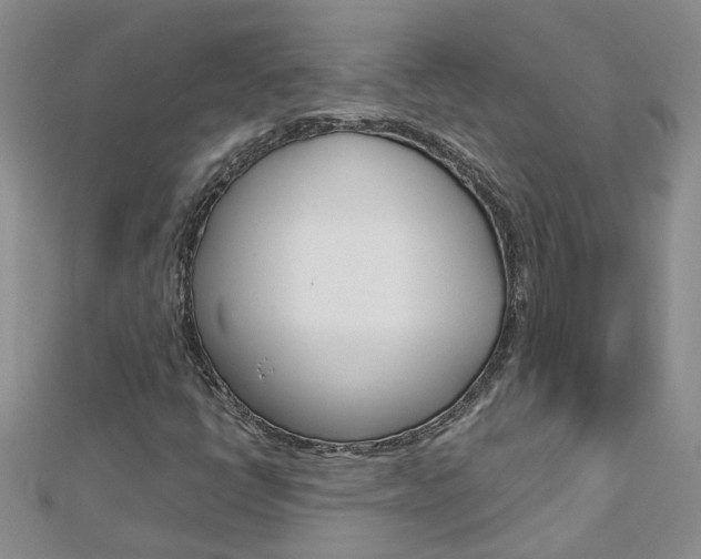 X0000112881398200908211041