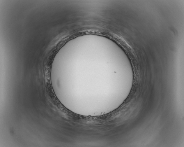 X0000112881399200908211041