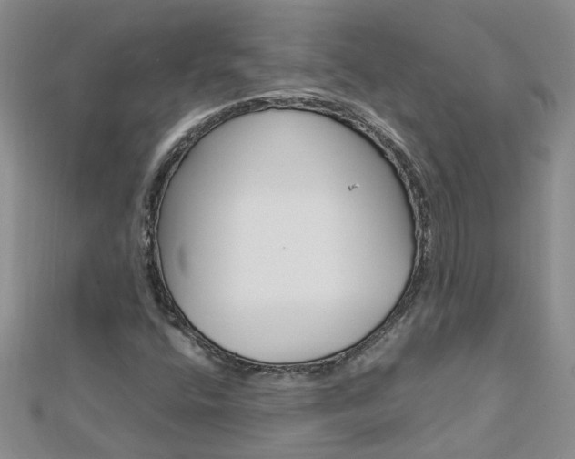 X0000112881400200908211041