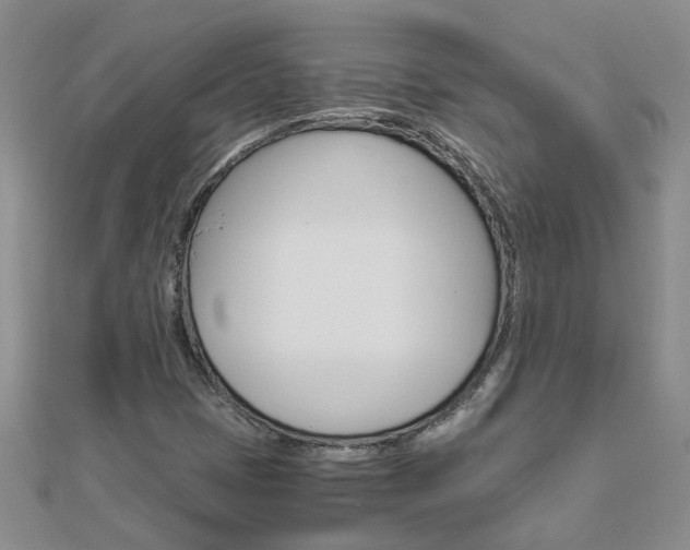 X0000112881401200908211041