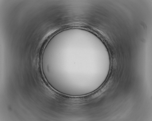 X0000112881402200908211041