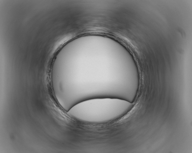 X0000112881405200908211041