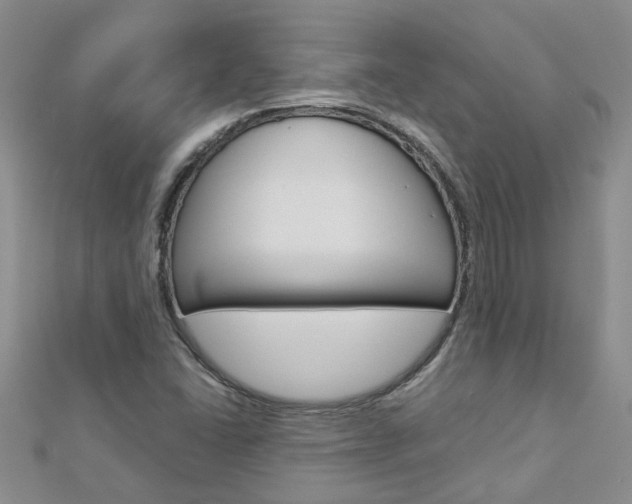 X0000112881406200908211041