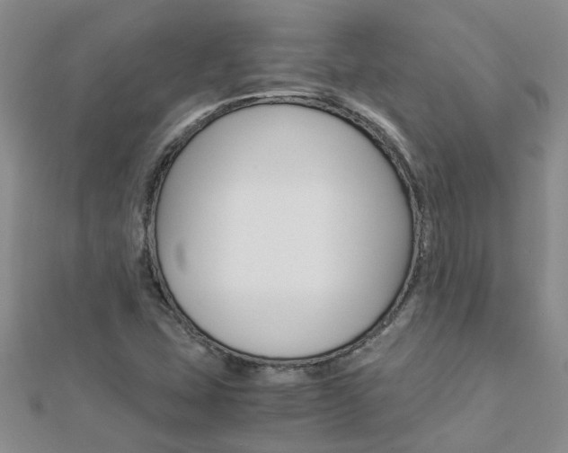 X0000112881407200908211041