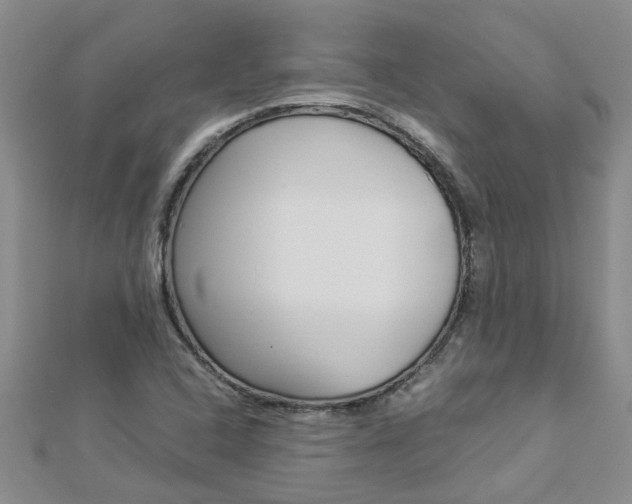 X0000112881408200908211041