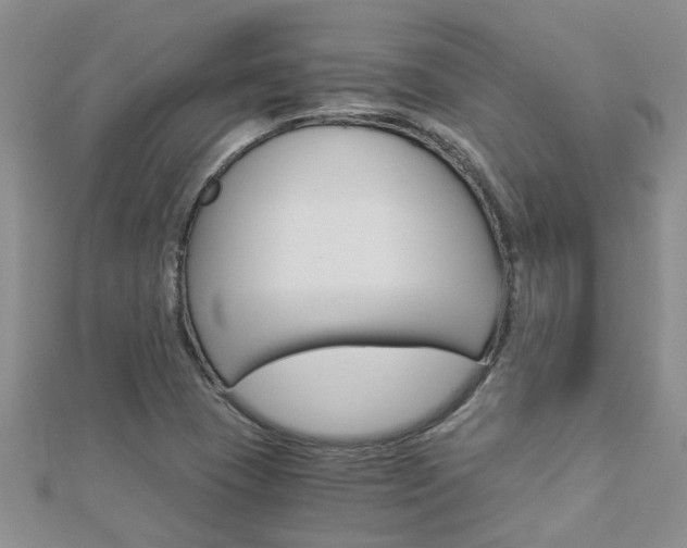 X0000112881409200908211041