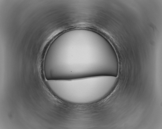 X0000112881410200908211041