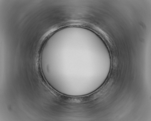 X0000112881411200908211041