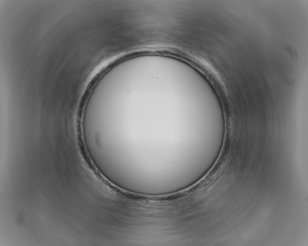 X0000112881412200908211041