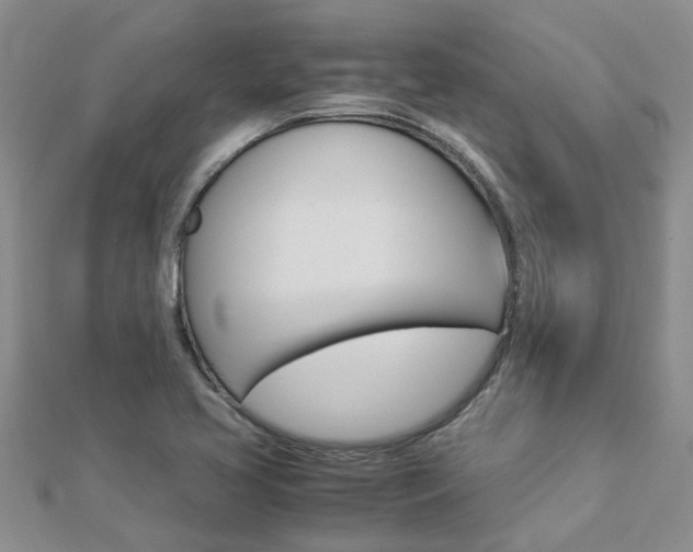 X0000112881413200908211041