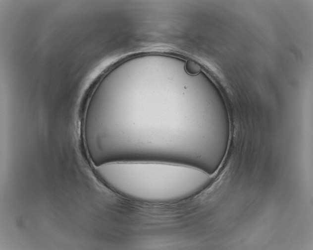 X0000112881414200908211041