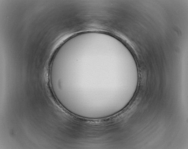X0000112881415200908211041