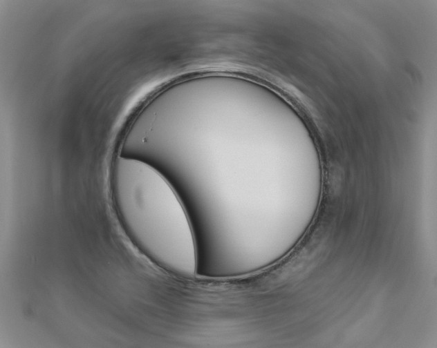 X0000112881416200908211041
