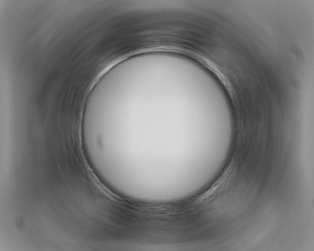 X0000112881417200908211041