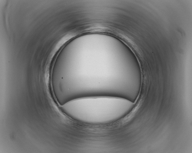 X0000112881418200908211041