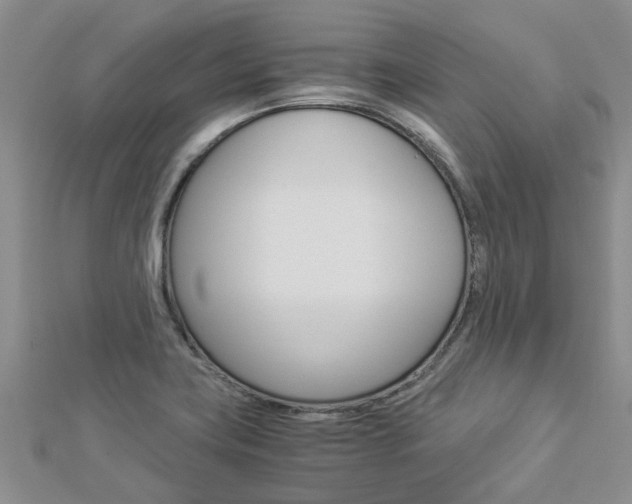 X0000112881419200908211041