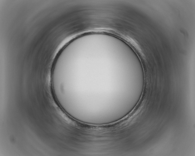 X0000112881420200908211042
