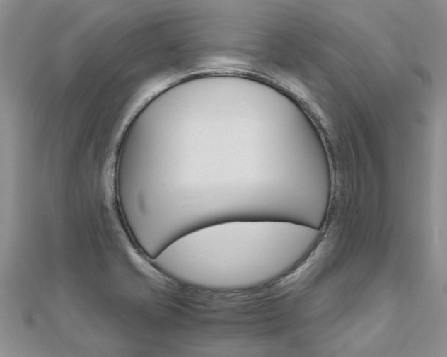 X0000112881421200908211042