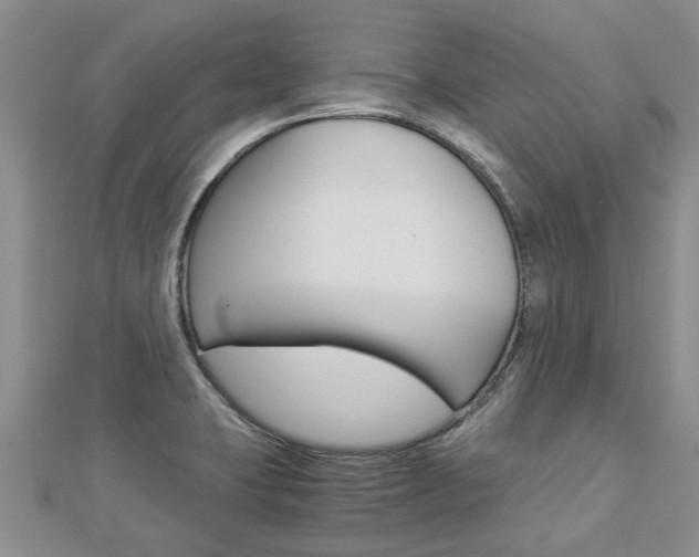 X0000112881423200908211042